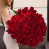 101 красная роза высотой 150 см R886
